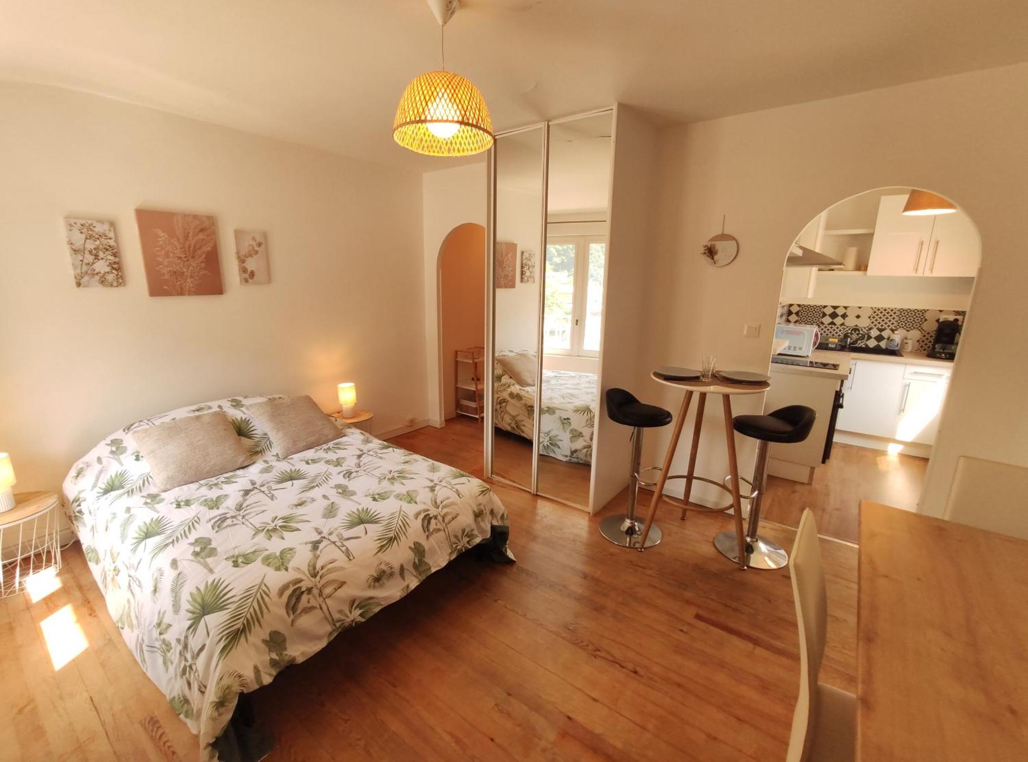 Le Comte Febus - Focalimmo Apartment Foix Exterior photo